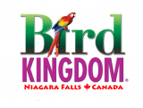 Bird Kingdom logo
