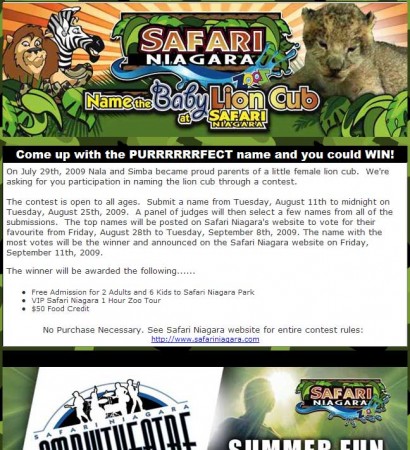 20090814_safari_niagara_email_newsletter