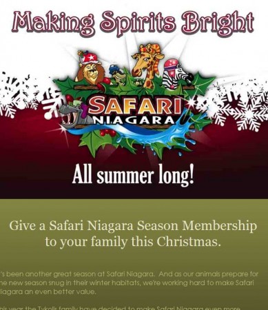 20091119_safari_niagara_email_newsletter