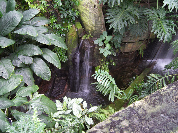 Butterfly Conservatory in Winter 2007 28