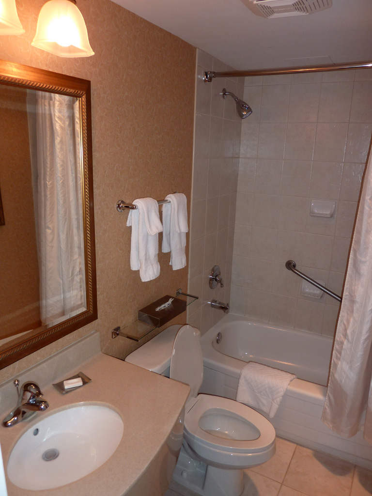 20100415 Doubletree Fallsview Resort & Spa by Hilton - Bathroom