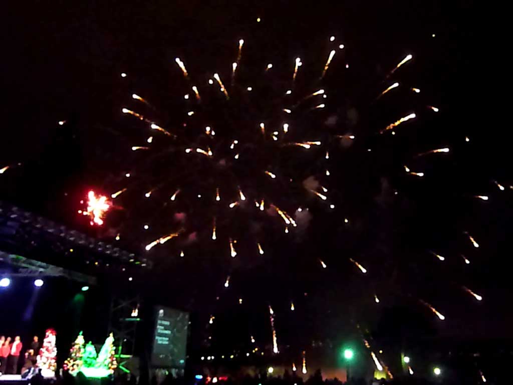 CAA Winter Festival of Lights 2012-2013 Opening Ceremony 18