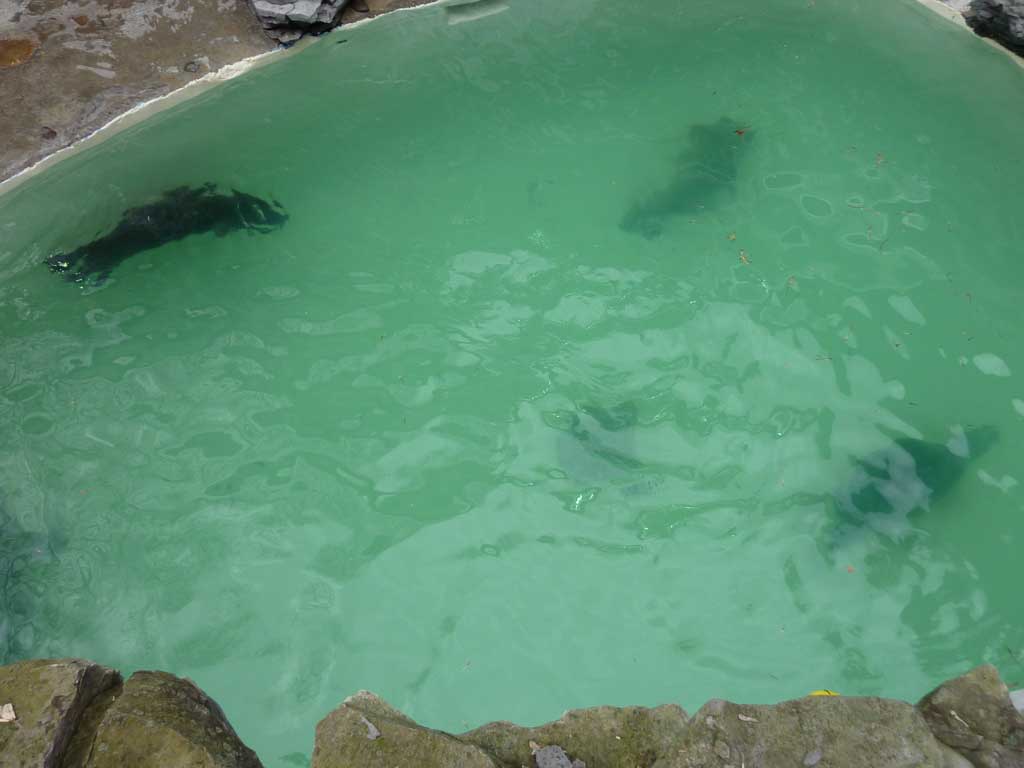 Aquarium of Niagara in Summer 2012 02
