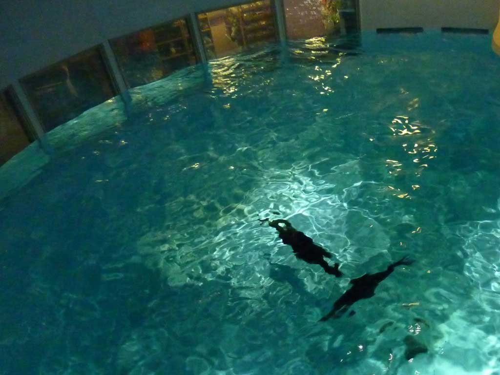 Aquarium of Niagara in Summer 2012 11