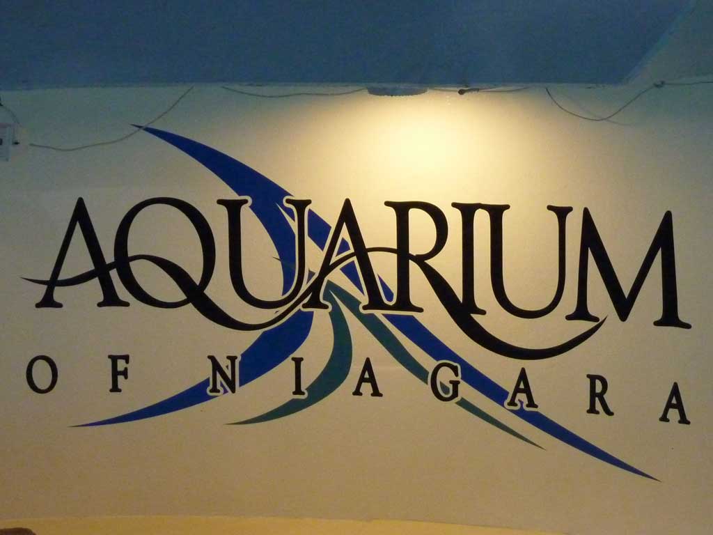 Aquarium of Niagara in Summer 2012 13