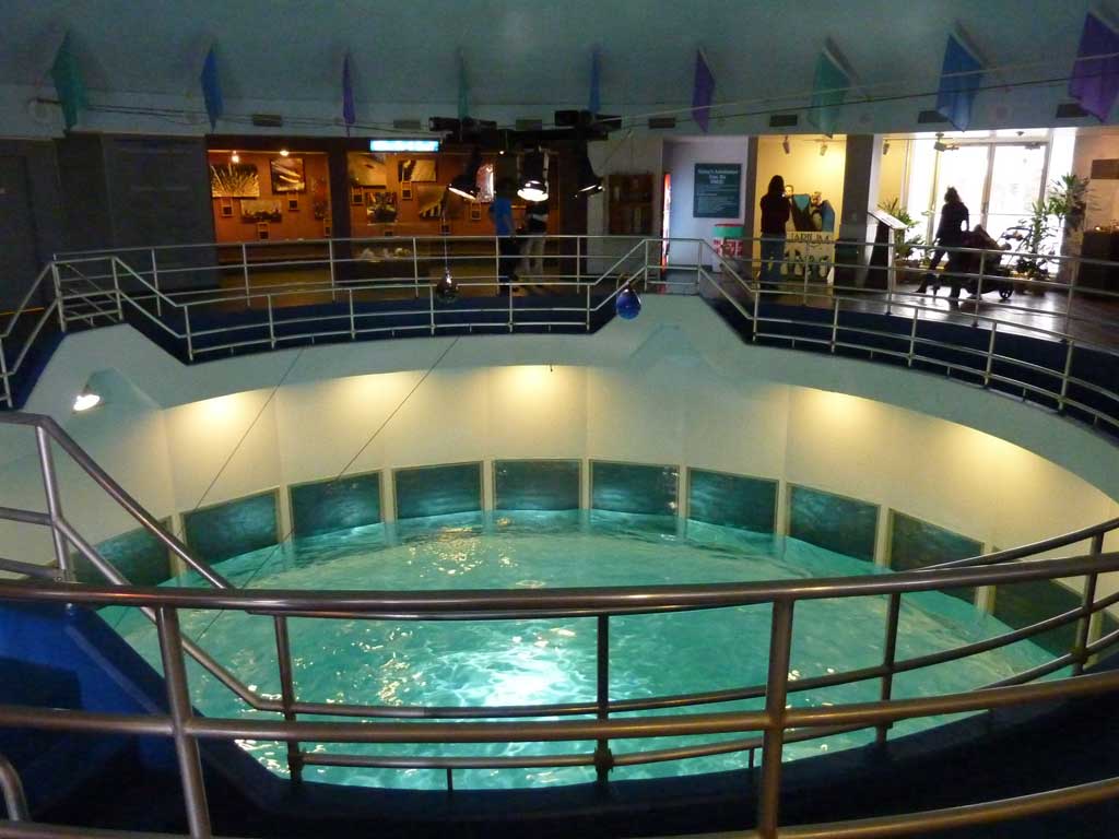 Aquarium of Niagara in Summer 2012 17