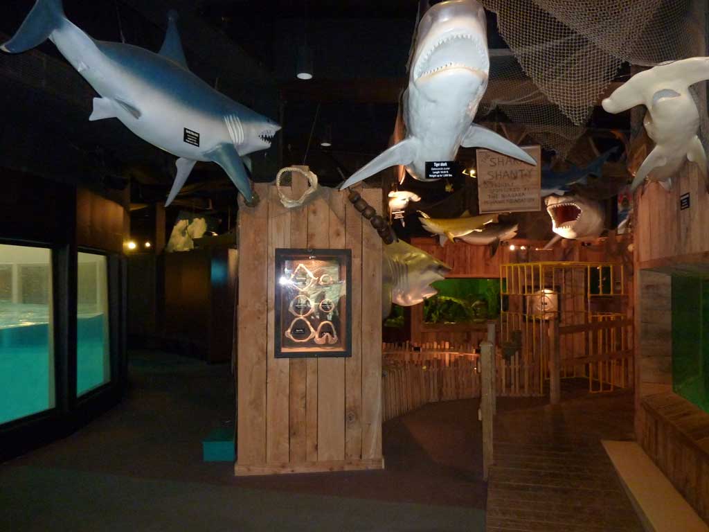 Aquarium of Niagara in Summer 2012 19