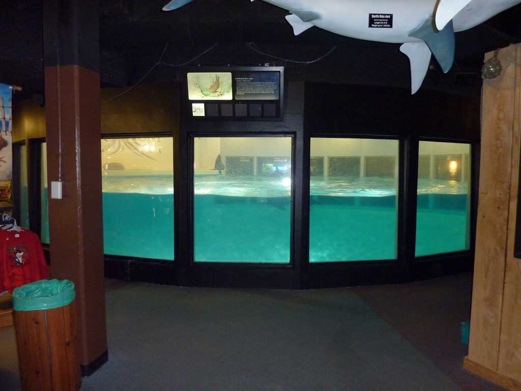 Aquarium of Niagara in Summer 2012 20