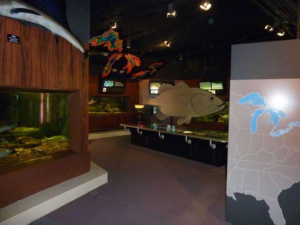 Aquarium of Niagara in Summer 2012 21