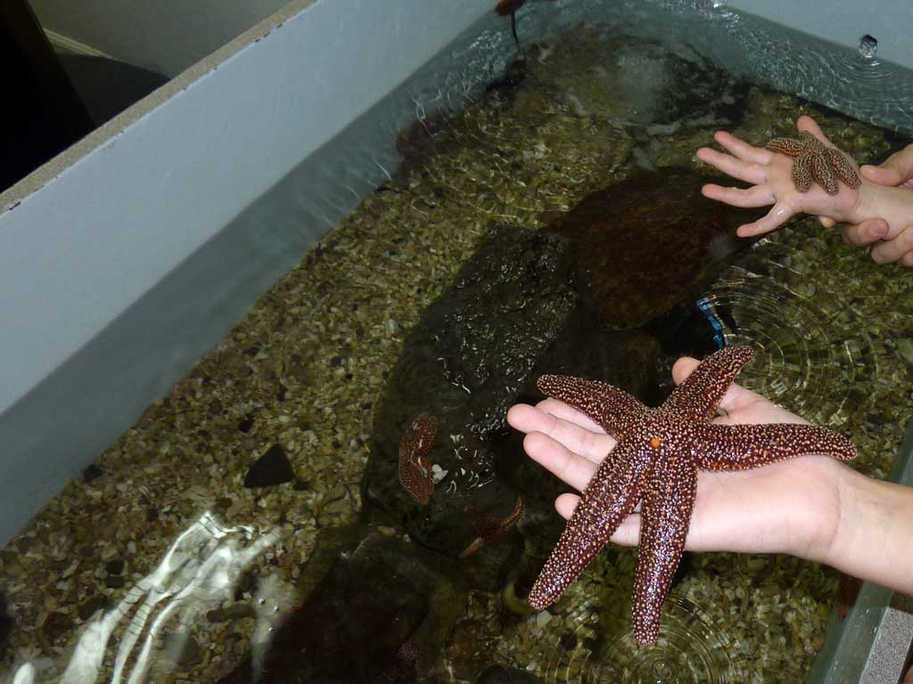 Aquarium of Niagara in Summer 2012 42