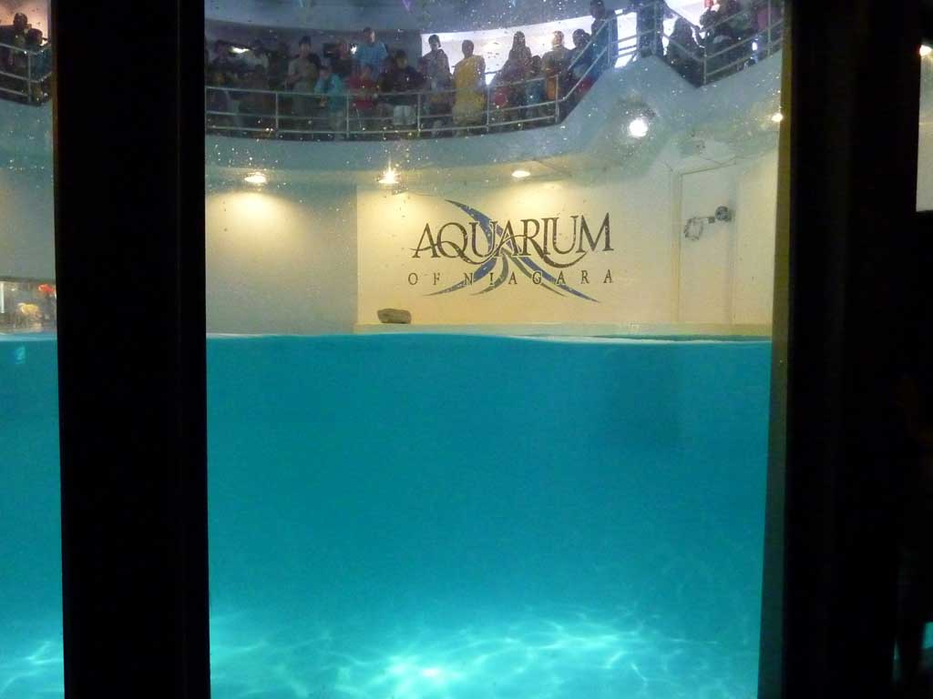 Aquarium of Niagara in Summer 2012 52