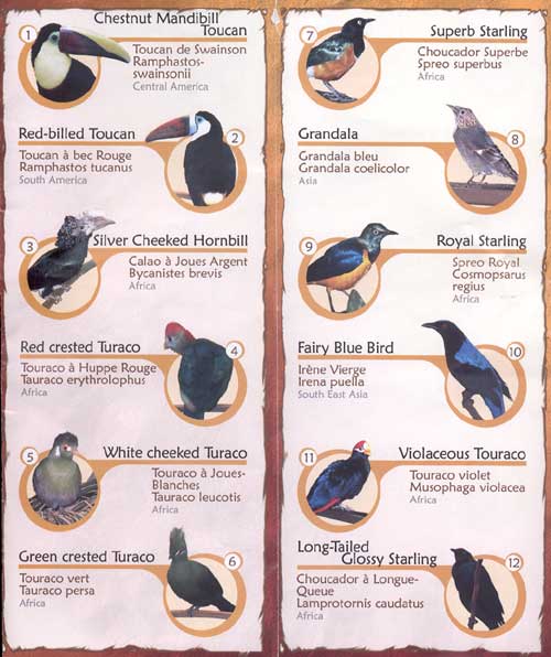 Niagara Falls Aviary Guide Main Aviary page 1