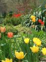 Oakes Garden Spring 2005 - 01