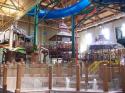 Great Wolf Lodge in Spring 2006 16