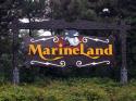 Marineland in Summer 2008 16
