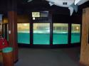 Aquarium of Niagara in Summer 2012 20