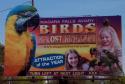DCP 0251Niagara Falls Aviary billboard