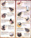 Niagara Falls Aviary Guide Main Aviary page 3